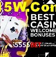5555bet Salvador - Promo Stats